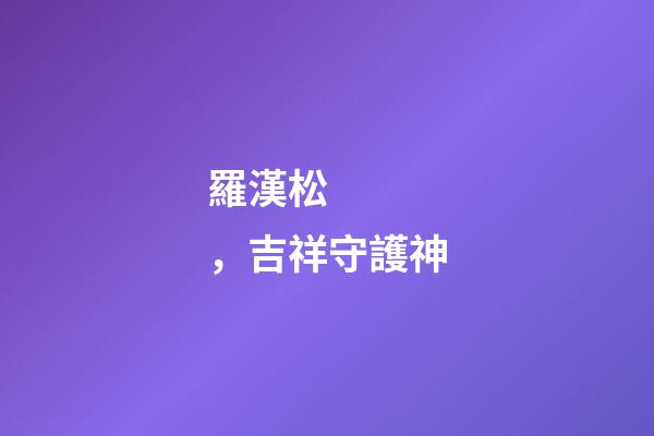 羅漢松，吉祥守護神